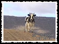 Foto 041